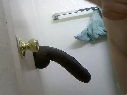 Audringa naminė anal ...