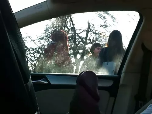 Didelis gaidžio anal ...